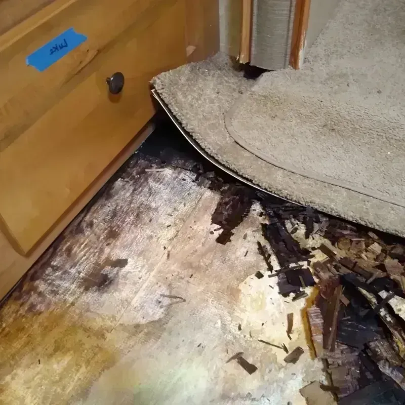 Best Wood Floor Water Damage Service in Phelps County, MO